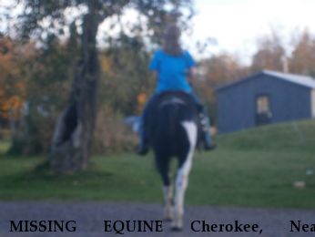 MISSING EQUINE Cherokee, Near Butternut, WI, 54514